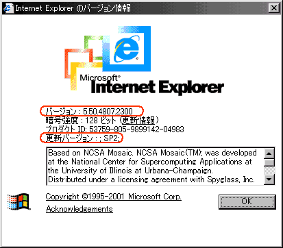 Internet Explorer̃o[W